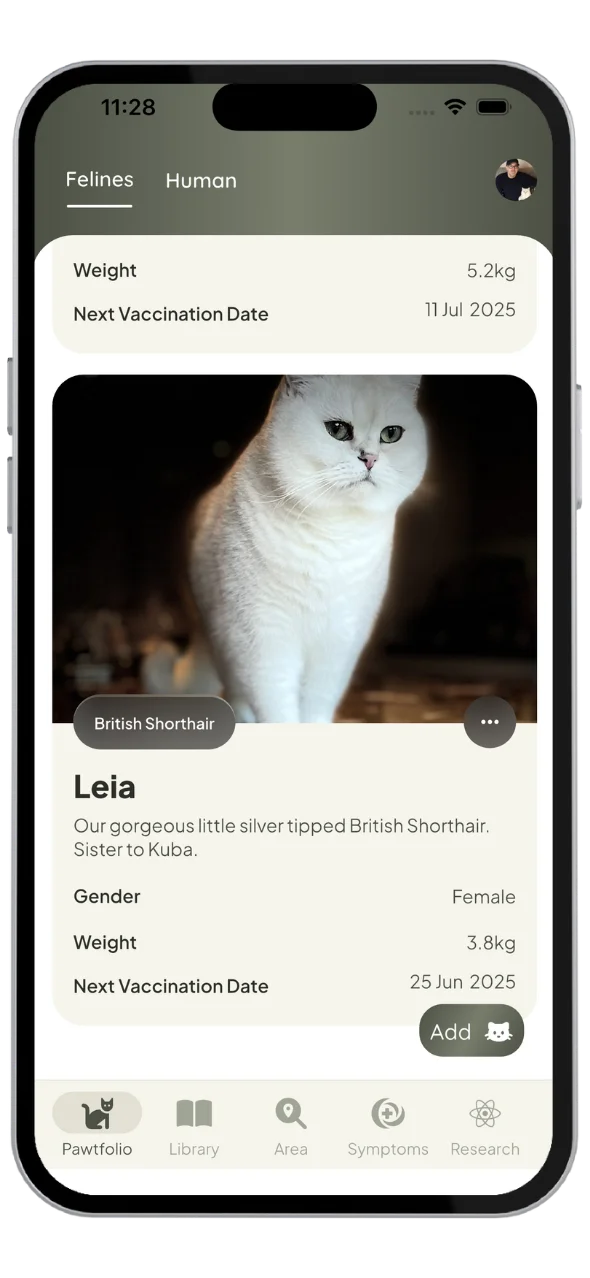 My Feline Pawtfolio screen showing cat profile with health details