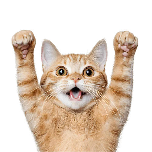 Happy cat with paws raised in excitement